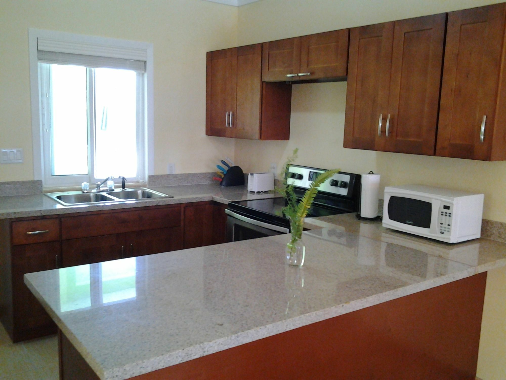 Sir Charles Guest House Palmetto Point Esterno foto