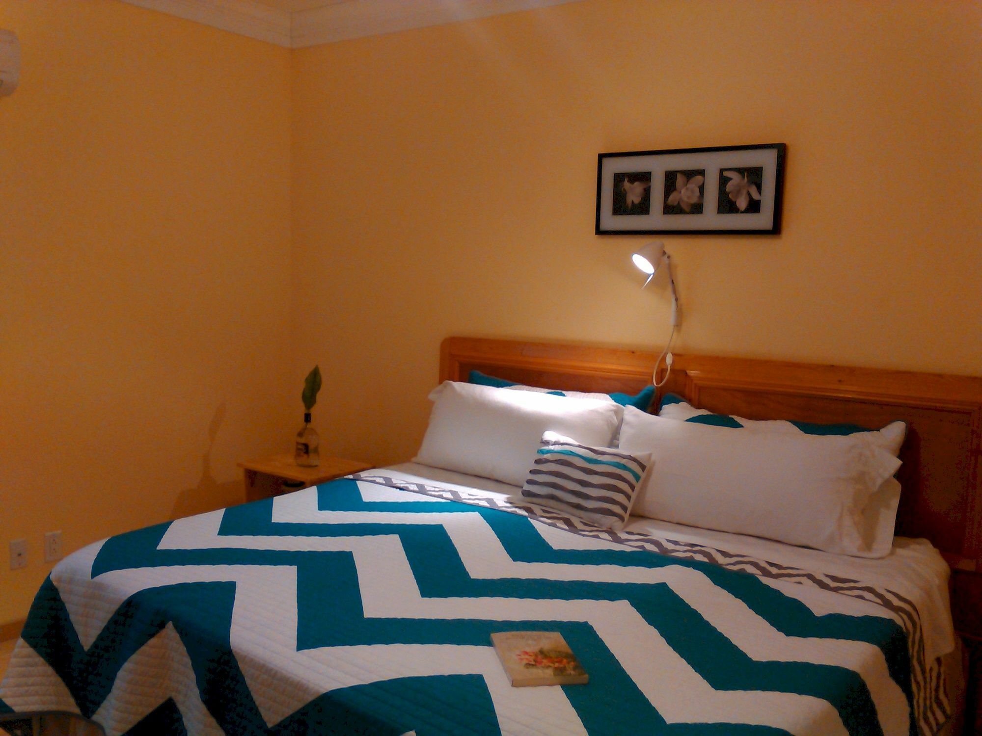 Sir Charles Guest House Palmetto Point Esterno foto